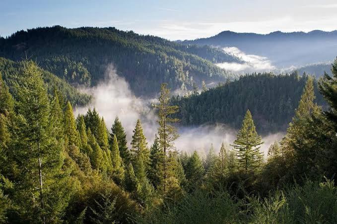 The Nature Dreams I Vacations I Conference I Mice I Family Events I Open Air Terrace I Sky Bonfire I Kufri By Exotic Stays Shimla Exterior foto