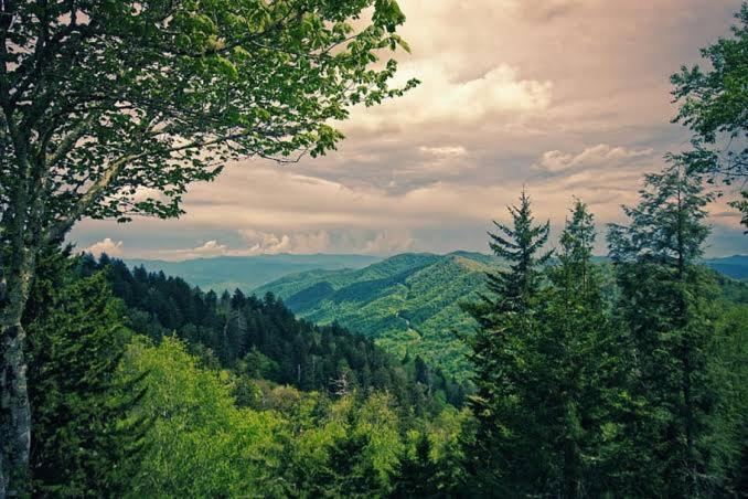 The Nature Dreams I Vacations I Conference I Mice I Family Events I Open Air Terrace I Sky Bonfire I Kufri By Exotic Stays Shimla Exterior foto