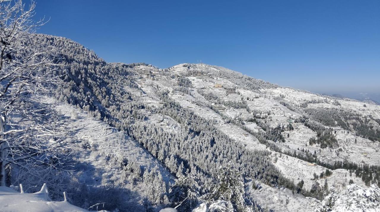 The Nature Dreams I Vacations I Conference I Mice I Family Events I Open Air Terrace I Sky Bonfire I Kufri By Exotic Stays Shimla Exterior foto